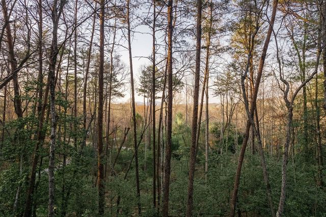 171 Huckleberry Lane, Mineral Bluff, GA 30559