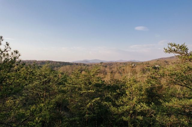 171 Huckleberry Lane, Mineral Bluff, GA 30559