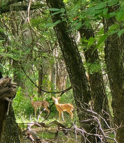 130 Parsonage Street, Reno, TX 76020