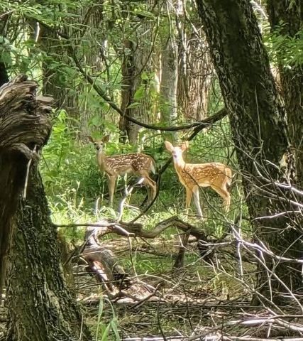 130 Parsonage Street, Reno, TX 76020