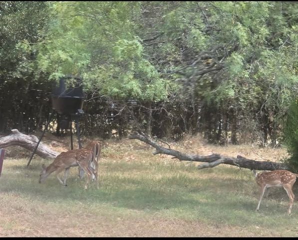 130 Parsonage Street, Reno, TX 76020