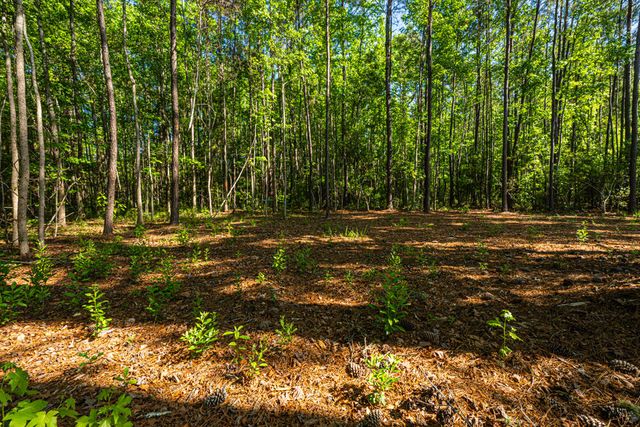 0 Delemar Highway, Ravenel, SC 29470