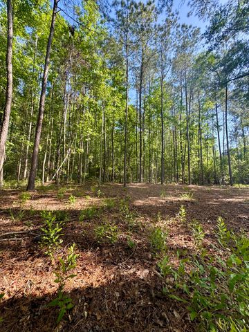 0 Delemar Highway, Ravenel, SC 29470