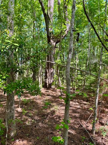 0 Delemar Highway, Ravenel, SC 29470