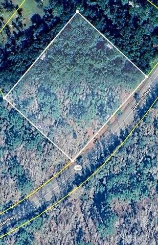 0 Delemar Highway, Ravenel, SC 29470