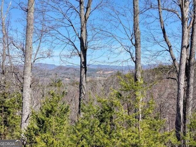 2081 Gallatin Road, Young Harris, GA 30582