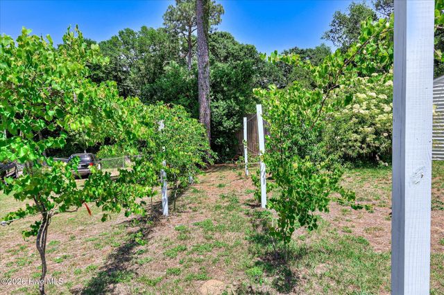 3001 Jasmine Place, Augusta, GA 30906