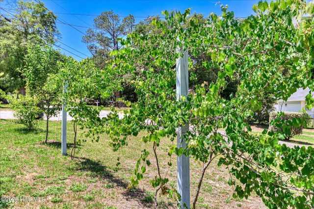 3001 Jasmine Place, Augusta, GA 30906