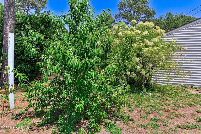 3001 Jasmine Place, Augusta, GA 30906
