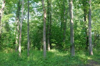 0 Willis Road, Ypsilanti, MI 48197