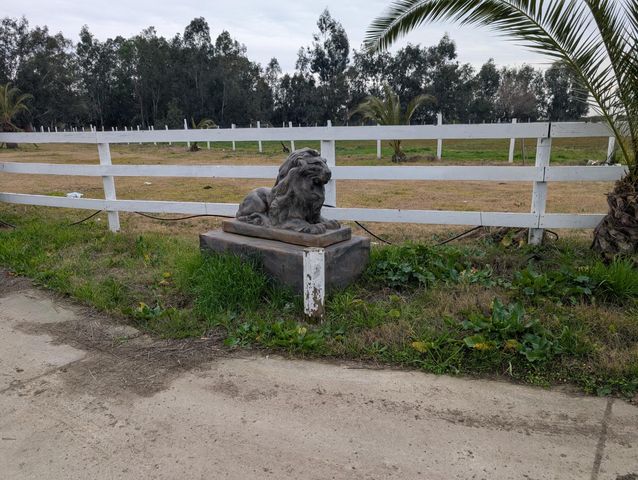 4142 Albers Rd, Oakdale, CA 95361