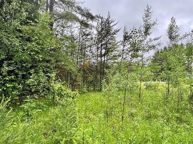 1.03 Acres COUNTY ROAD X, Kronenwetter, WI 54455