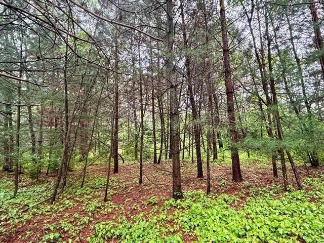 1.03 Acres COUNTY ROAD X, Kronenwetter, WI 54455