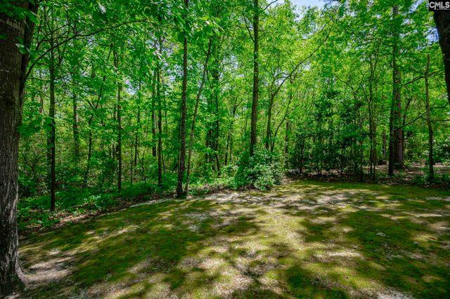 124 Cobblers Glen Court, Lexington, SC 29072