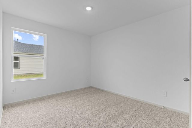 1015 Bluegill Drive, Alvin, TX 77511