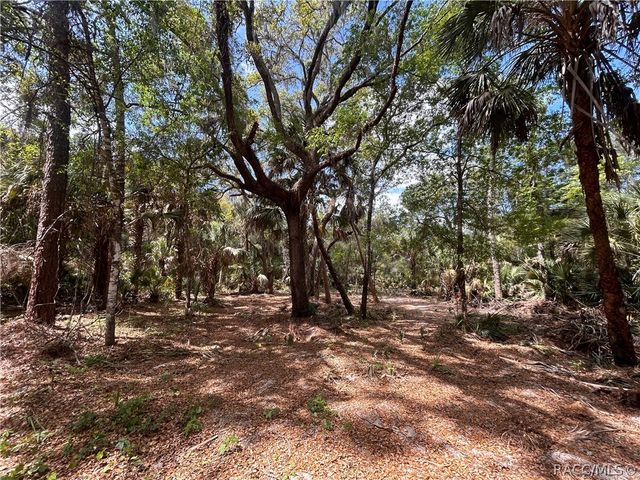 7544 N Bitterroot Drive, Crystal River, FL 34428