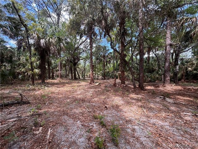 7544 N Bitterroot Drive, Crystal River, FL 34428