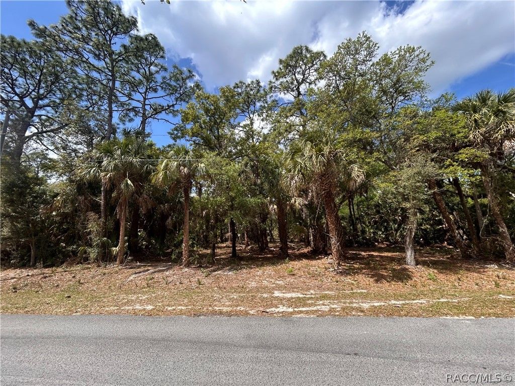 7544 N Bitterroot Drive, Crystal River, FL 34428