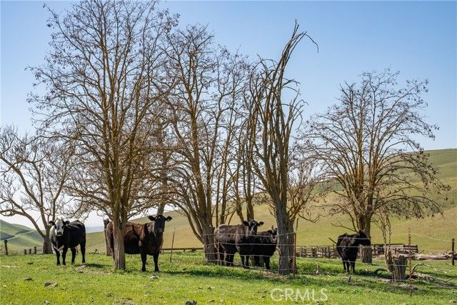 3160 Gillis Canyon Road, Shandon, CA 93461