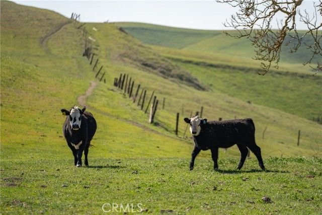 3160 Gillis Canyon Road, Shandon, CA 93461