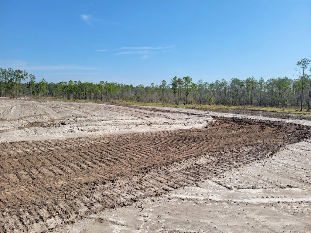 1001 OMEGA RANCH ROAD, New Smyrna Beach, FL 32168