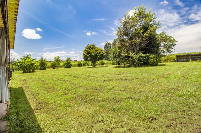 781 Blue Creek Rd, Tullahoma, TN 37388