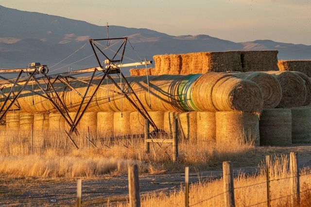 1891 Spring Creek Road, Dillon, MT 59725