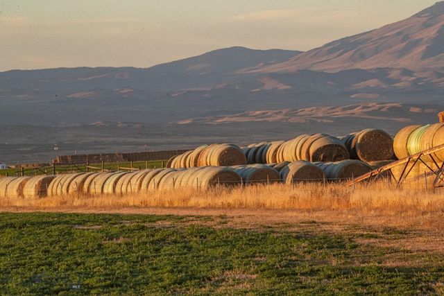 1891 Spring Creek Road, Dillon, MT 59725