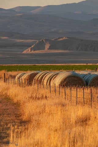 1891 Spring Creek Road, Dillon, MT 59725