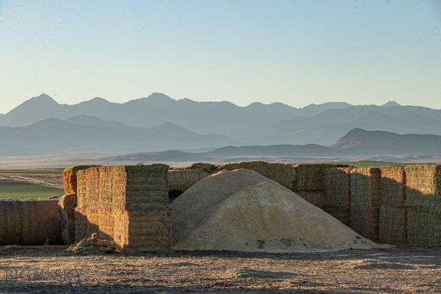 1891 Spring Creek Road, Dillon, MT 59725