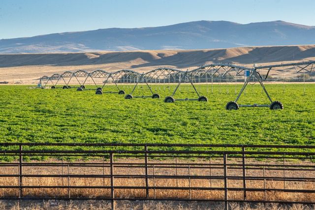 1891 Spring Creek Road, Dillon, MT 59725