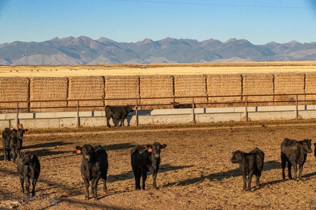 1891 Spring Creek Road, Dillon, MT 59725