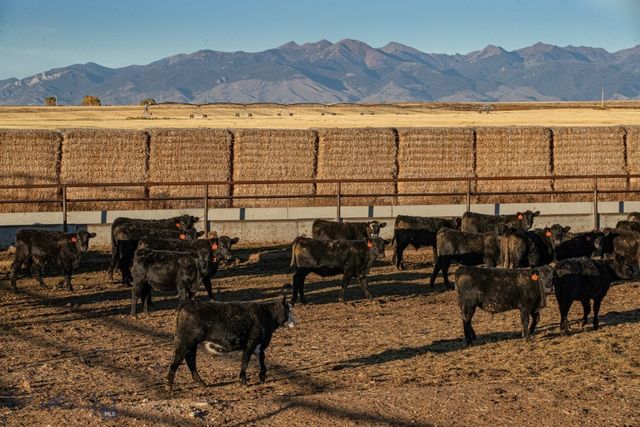 1891 Spring Creek Road, Dillon, MT 59725