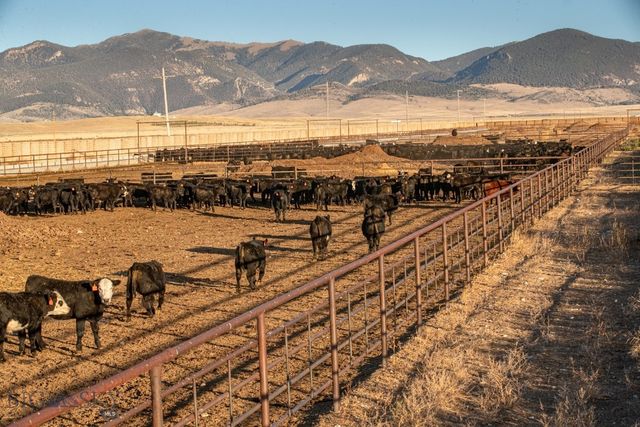 1891 Spring Creek Road, Dillon, MT 59725