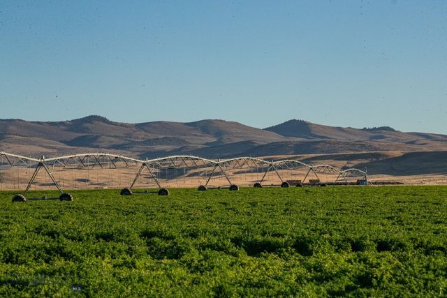 1891 Spring Creek Road, Dillon, MT 59725