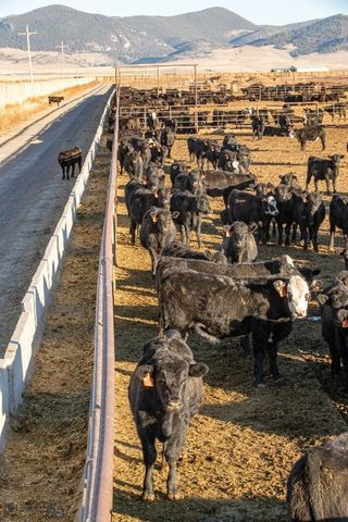 1891 Spring Creek Road, Dillon, MT 59725