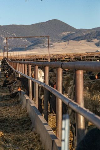 1891 Spring Creek Road, Dillon, MT 59725