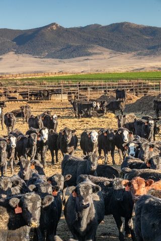 1891 Spring Creek Road, Dillon, MT 59725