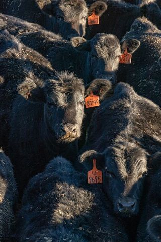 1891 Spring Creek Road, Dillon, MT 59725