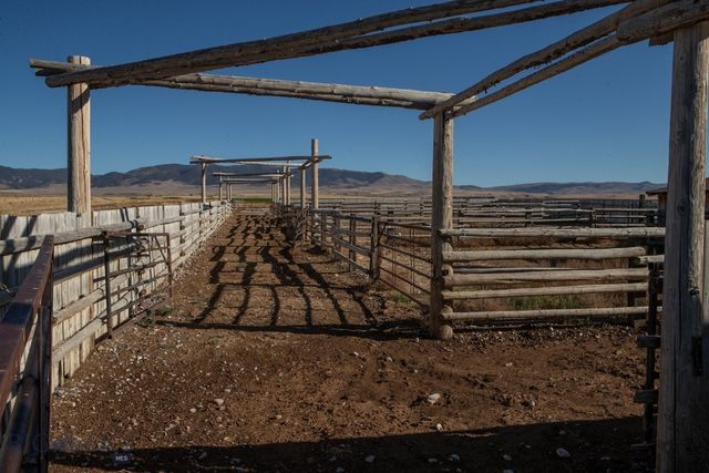 1891 Spring Creek Road, Dillon, MT 59725