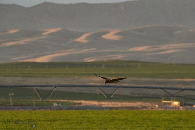 1891 Spring Creek Road, Dillon, MT 59725