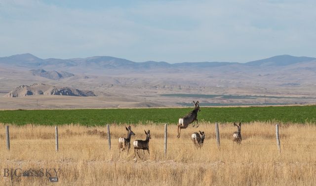 1891 Spring Creek Road, Dillon, MT 59725