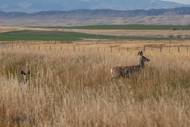 1891 Spring Creek Road, Dillon, MT 59725