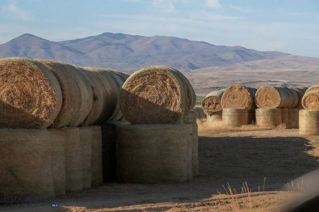 1891 Spring Creek Road, Dillon, MT 59725