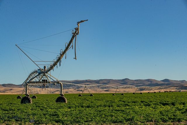 1891 Spring Creek Road, Dillon, MT 59725