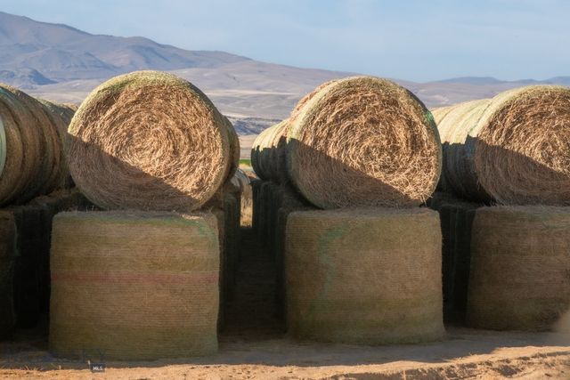 1891 Spring Creek Road, Dillon, MT 59725