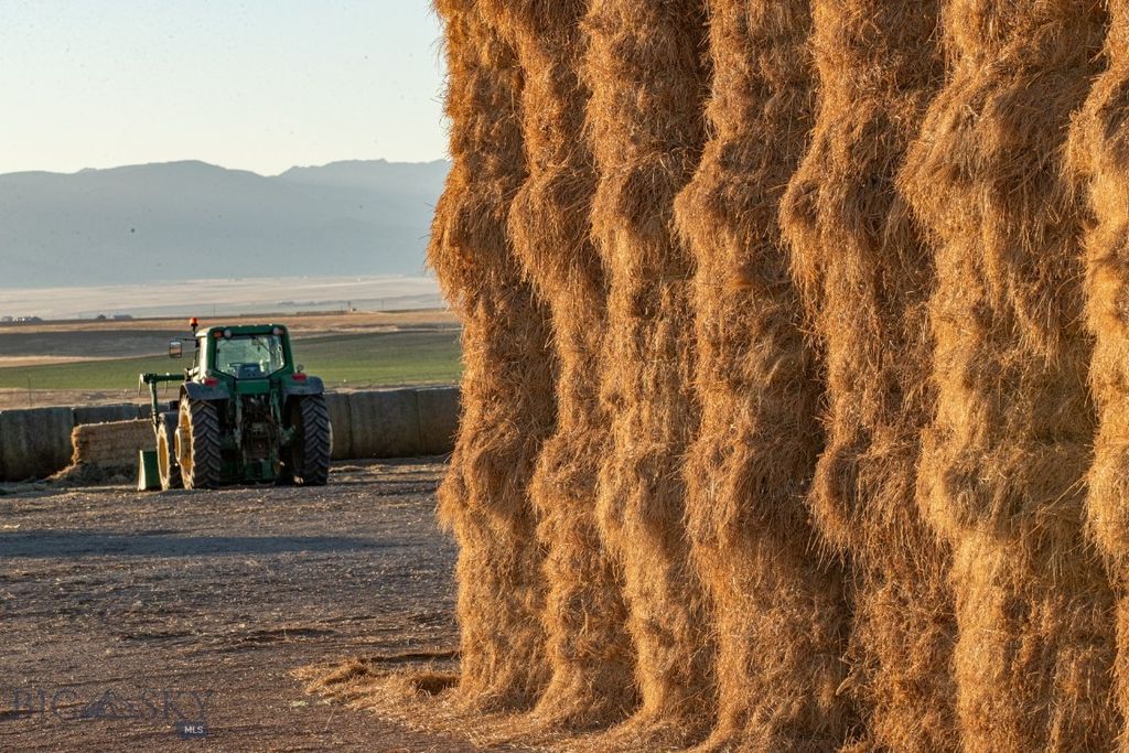 1891 Spring Creek Road, Dillon, MT 59725 photo 23