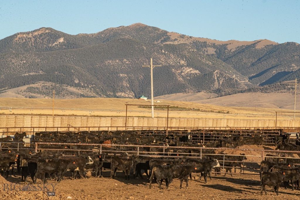 1891 Spring Creek Road, Dillon, MT 59725 photo 26