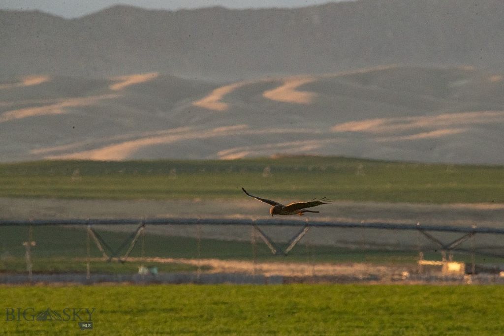 1891 Spring Creek Road, Dillon, MT 59725 photo 54