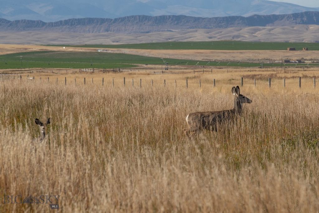 1891 Spring Creek Road, Dillon, MT 59725 photo 57
